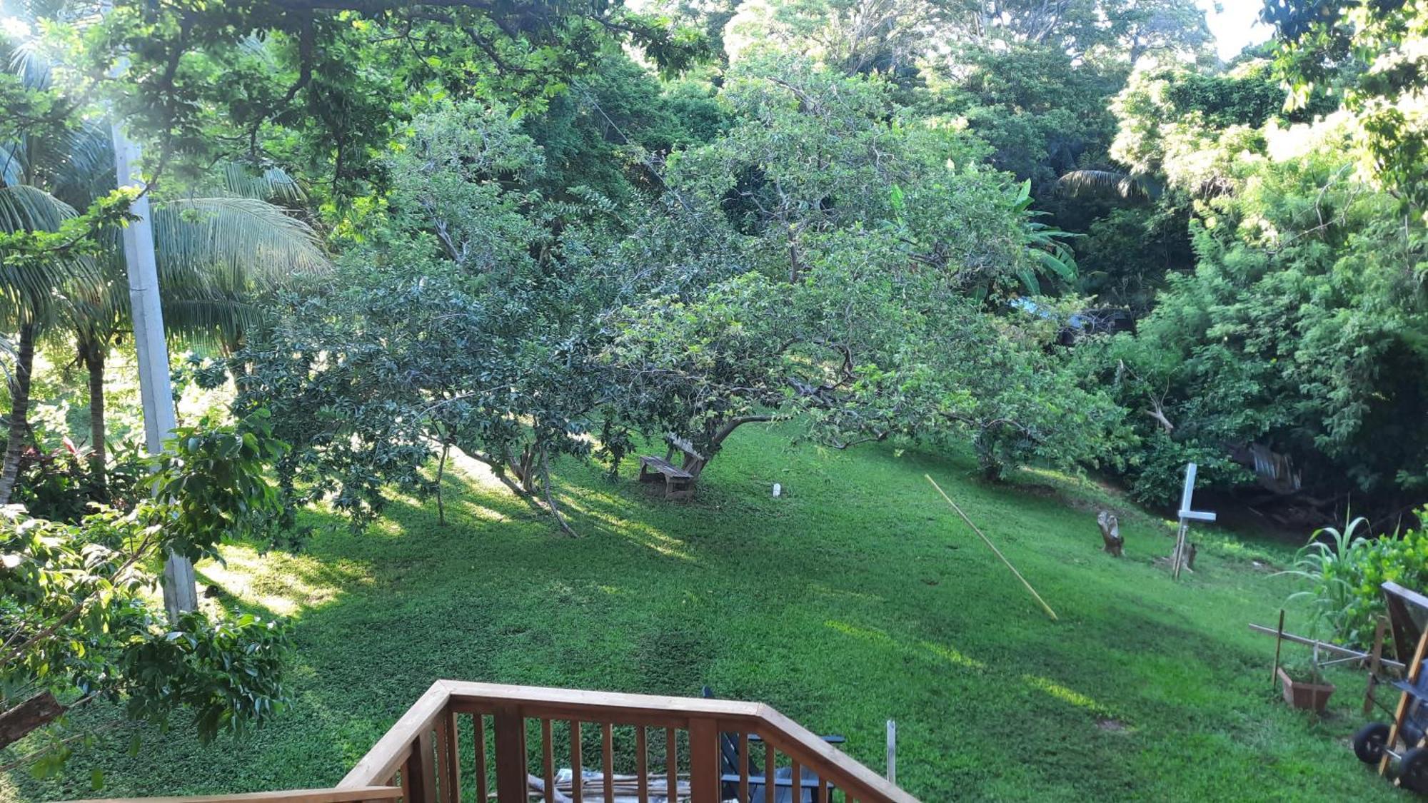 Guava Grove Resort & Villas Sandy Bay Dış mekan fotoğraf